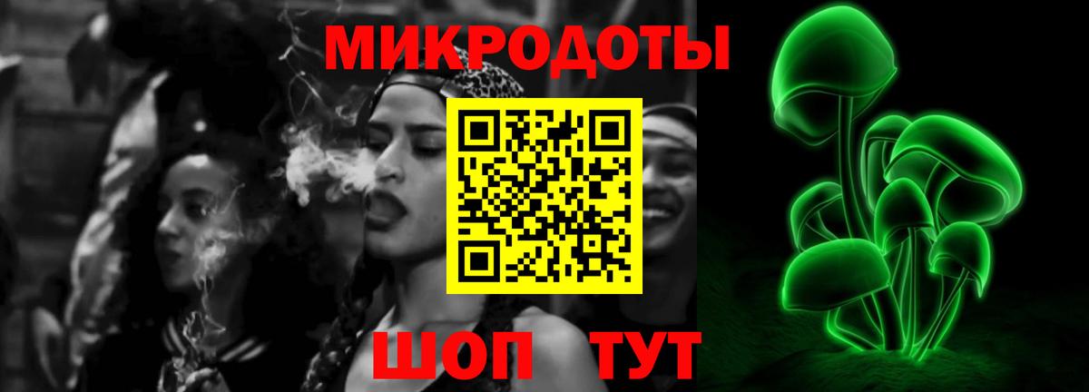 Галлюциногенные грибы Psilocybine cubensis Каменск-Шахтинский